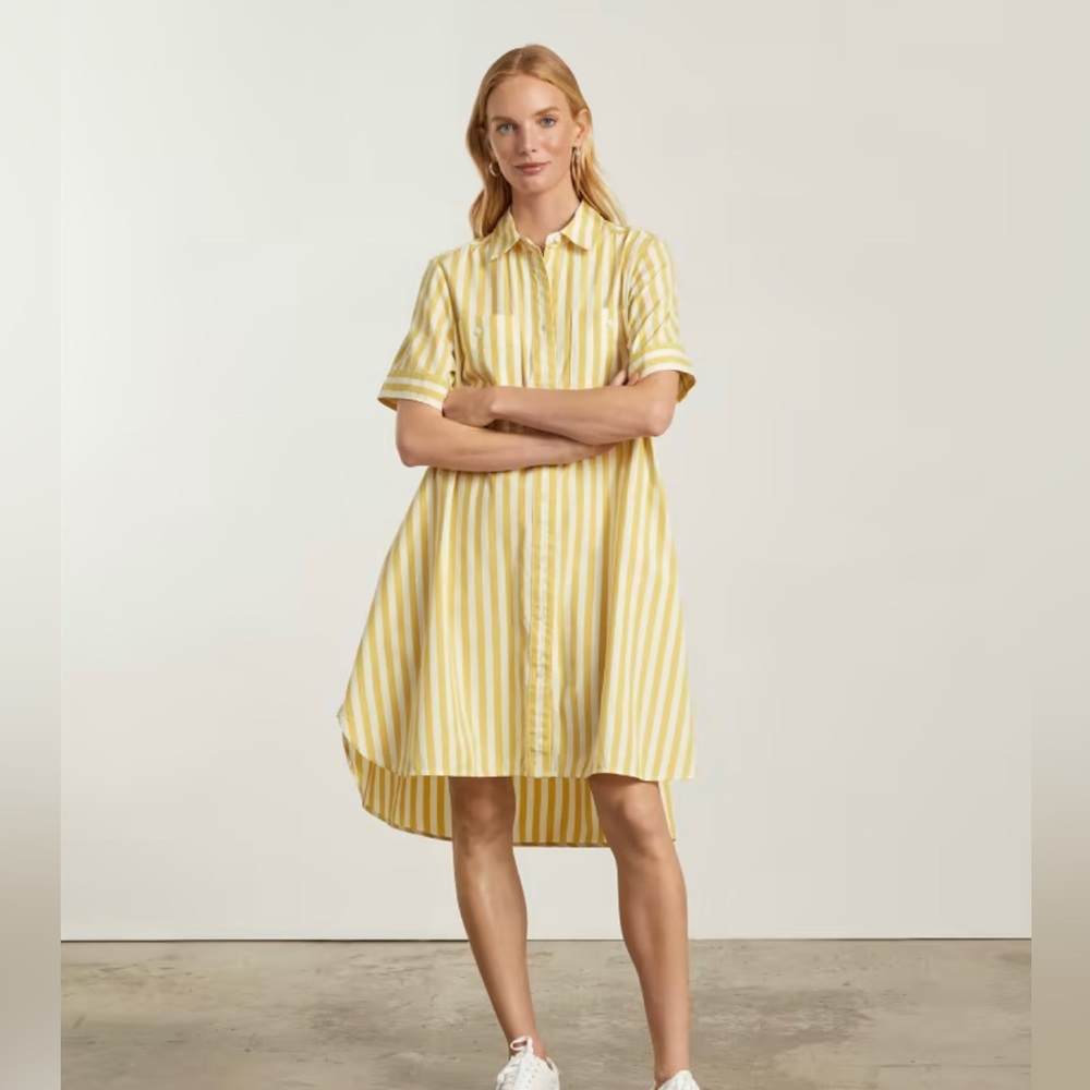 Everlane The Daytripper Shirtdress